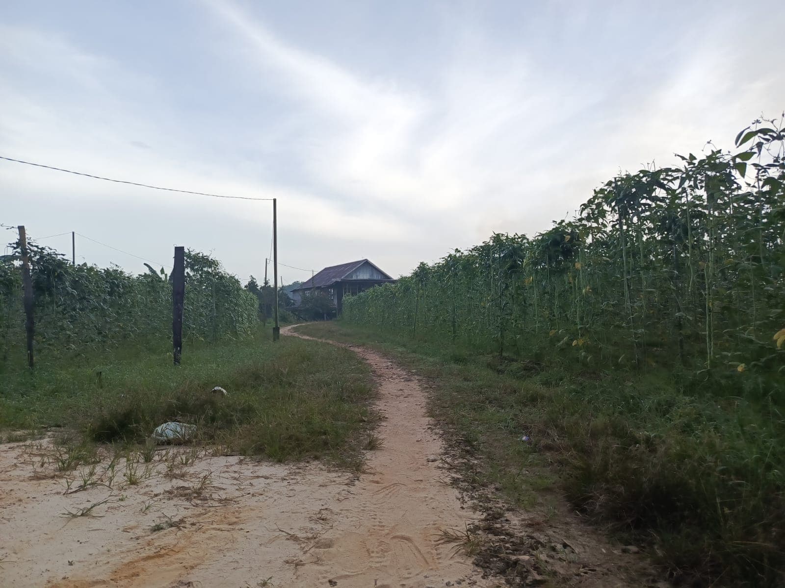 Pantau Perkembangan Dusun Topo Indah